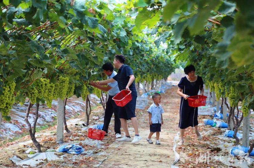 诚信客户端下载